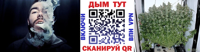 ГАШИШ Петров Вал