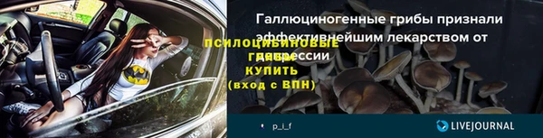 СК Абинск