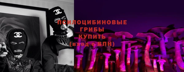 прущий лед Абаза