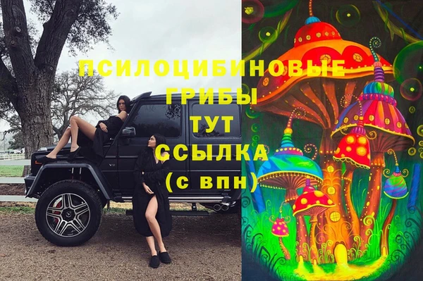 прущий лед Абаза