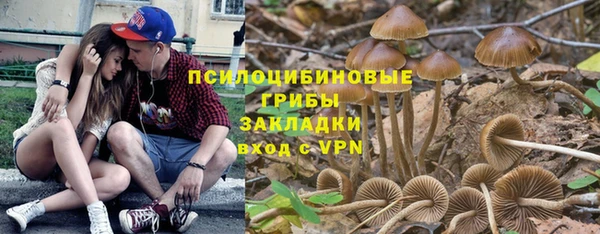 a pvp Алексин